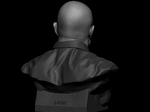 Joe Rogan 3D Print Model
