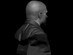 Joe Rogan 3D Print Model