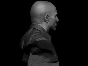 Joe Rogan 3D Print Model