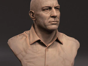 Joe Rogan 3D Print Model