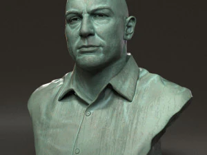 Joe Rogan 3D Print Model