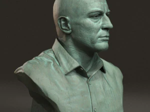 Joe Rogan 3D Print Model