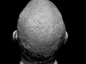 Steve Jobs 3D-printmodel