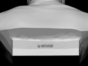 Steve Jobs 3D-printmodel