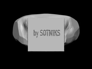 Naruhito 3D Print Model