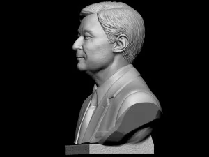 Naruhito 3D Print Model
