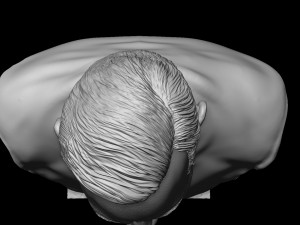 Narendra Damodardas Modi Modelo de Impressão 3D