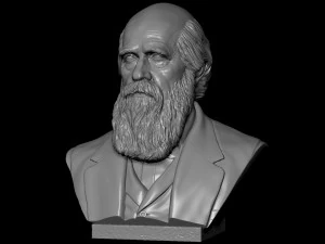 Charles Darwin 3D Print Model