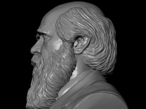 Charles Darwin 3D Print Model