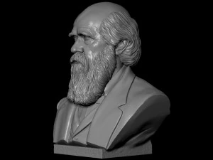 Charles Darwin 3D Print Model