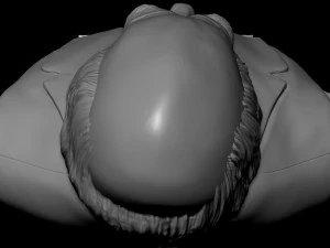 Charles Darwin 3D Print Model