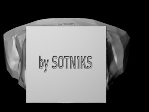 Satoshi Nakamoto 3D 프린트 모델