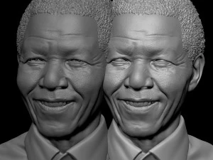 Nelson Mandela 3D Print Model