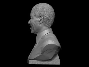 Nelson Mandela 3D Print Model