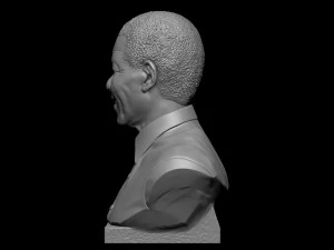 Nelson Mandela 3D Print Model