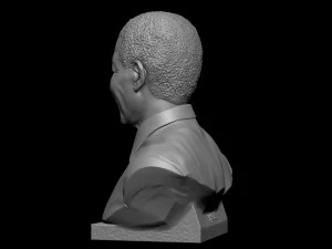 Nelson Mandela 3D Print Model