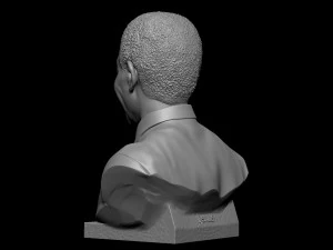 Nelson Mandela 3D Print Model