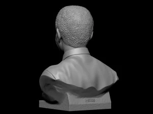 Nelson Mandela 3D Print Model