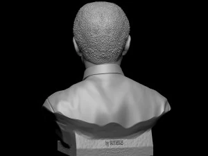 Nelson Mandela 3D Print Model