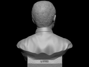 Nelson Mandela 3D Print Model
