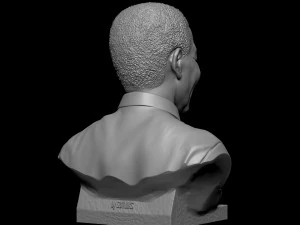 Nelson Mandela 3D Print Model