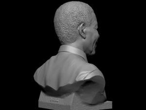 Nelson Mandela 3D Print Model
