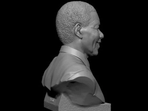 Nelson Mandela 3D Print Model