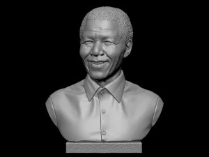 Nelson Mandela 3D Print Model
