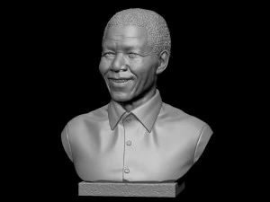 Nelson Mandela 3D Print Model