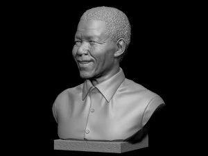 Nelson Mandela 3D Print Model