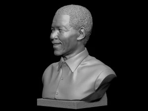 Nelson Mandela 3D Print Model