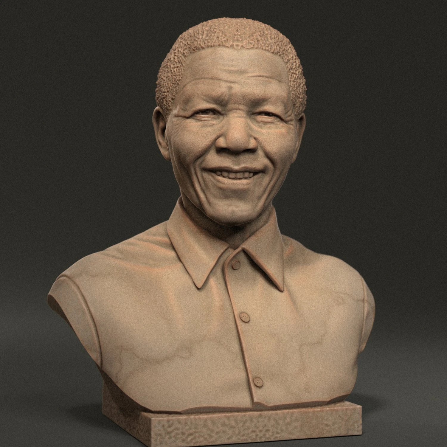 Nelson Mandela 3D Print Model .c4d .max .obj .3ds .fbx .stl .blend