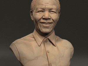 Nelson Mandela 3D Print Model