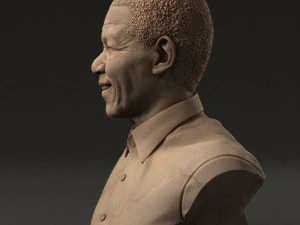 Nelson Mandela 3D Print Model
