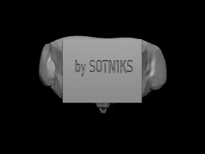 Vitalik Buterin 3D Print Model
