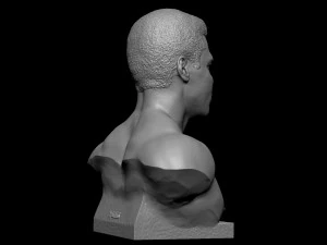 Muhammad Ali 3D Print Model