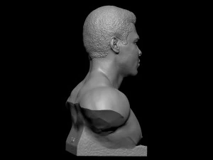 Muhammad Ali 3D Print Model
