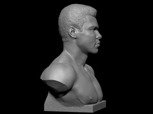 Muhammad Ali 3D Print Model