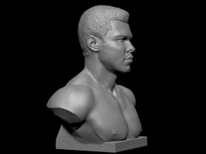 Muhammad Ali 3D Print Model