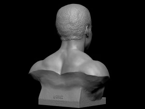 Muhammad Ali 3D Print Model