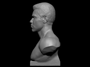 Muhammad Ali 3D Print Model
