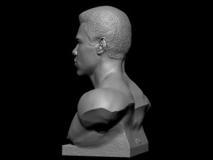 Muhammad Ali 3D Print Model