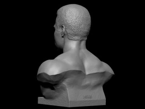 Muhammad Ali 3D Print Model