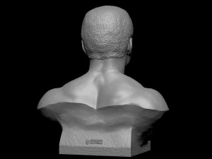 Muhammad Ali 3D Print Model