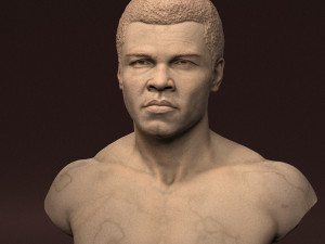 Muhammad Ali 3D Print Model