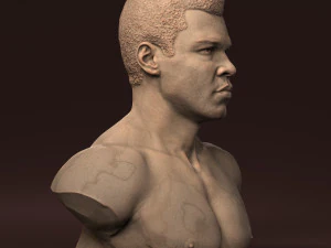 Muhammad Ali 3D Print Model