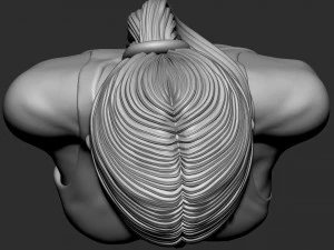 Kim Kardashian 3D Print Model