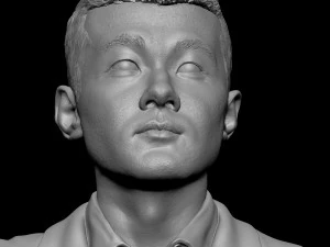 Ding Liren 3D Print Model