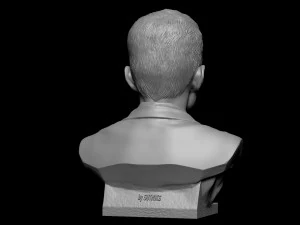 Ding Liren 3D Print Model