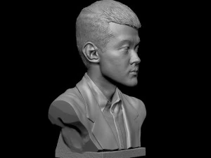 Ding Liren 3D Print Model